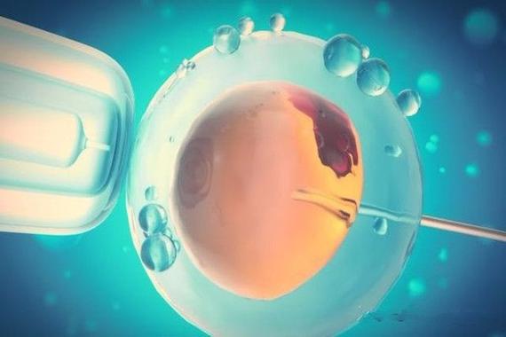 深圳三代供卵试管生男孩_深圳三代供卵试管生男孩的全面解析