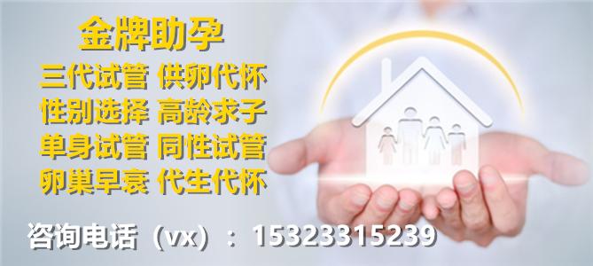 上海三代供卵试管孩子(上海三代供卵试管孩子的家庭故事)