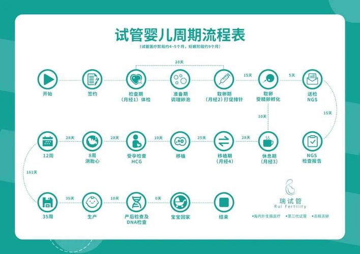 上海三代供卵试管流程_上海三代供卵试管流程解析